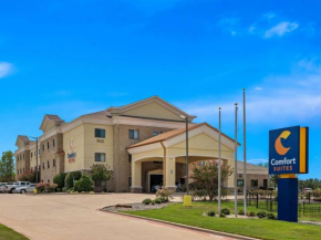 Comfort Suites Lindale